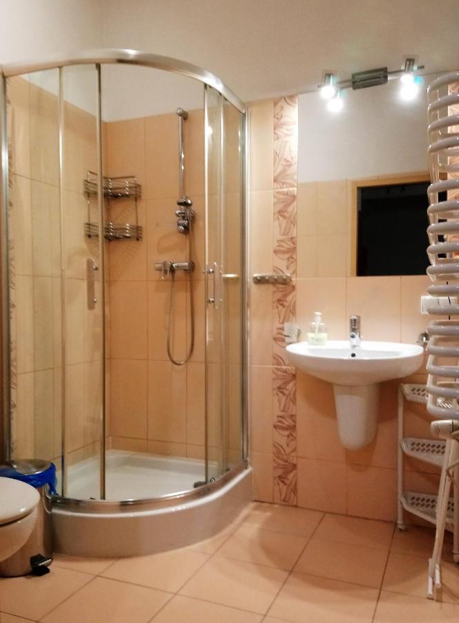 Apartament Radowid 15 W Centrum Z Basenem Закопане Екстер'єр фото